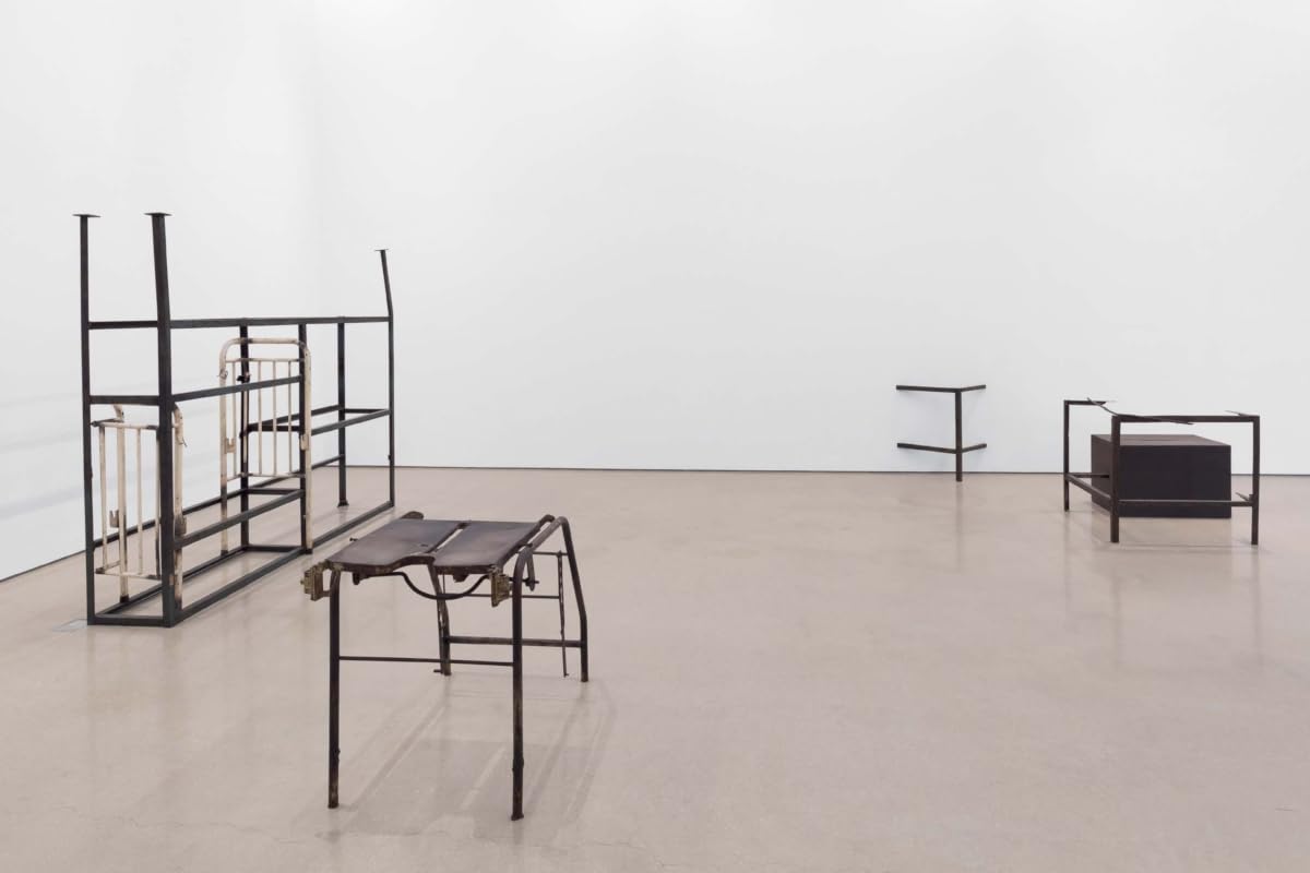 Doris Salcedo