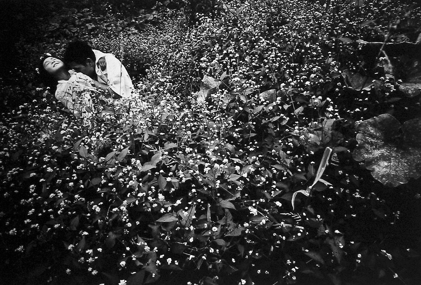 Eikoh Hosoe: Kamaitachi