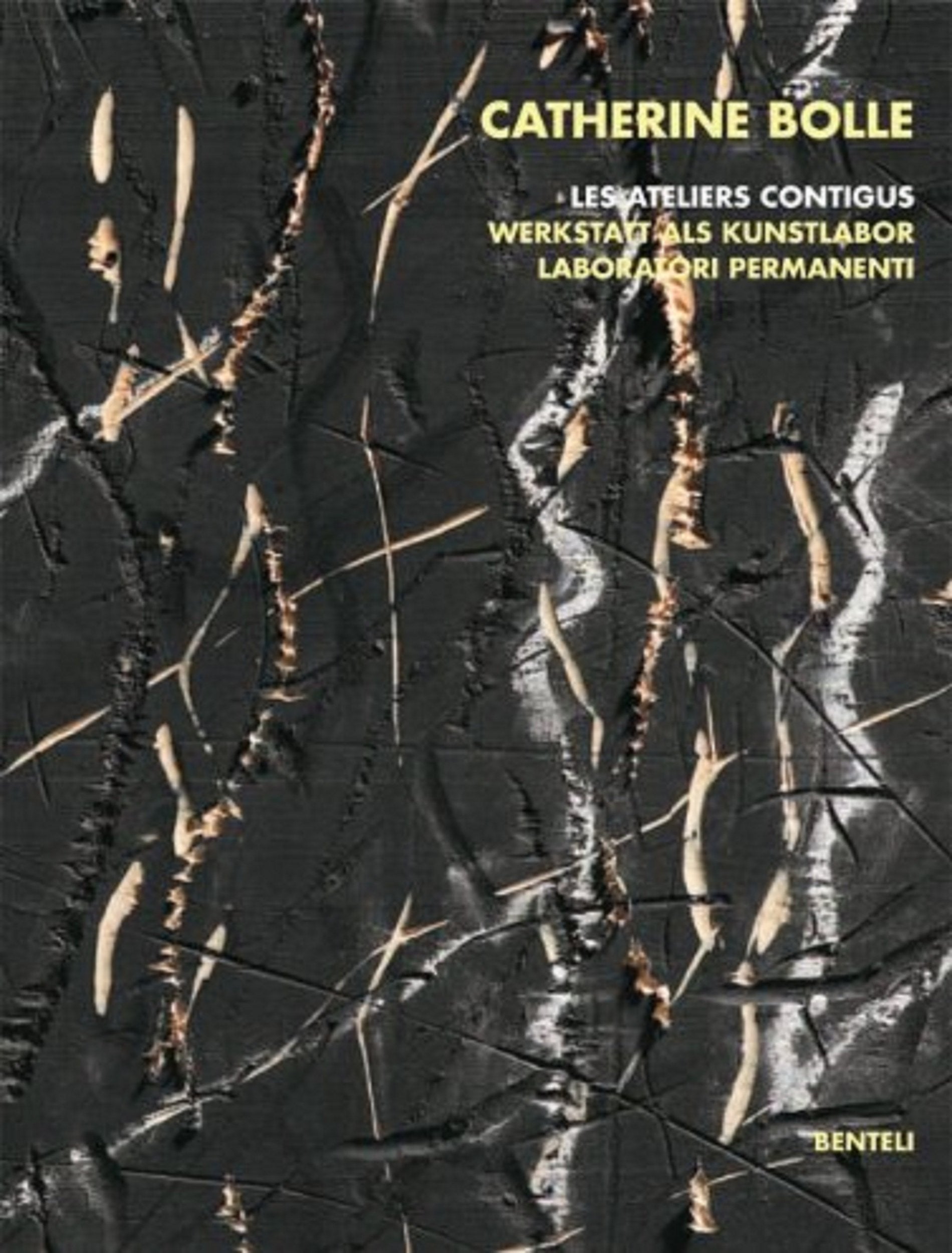 Catherine Bolle, les ateliers contigus, werkstatt als kunstlabor, laboratori permanenti