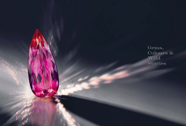 Gems, Colours and Wild Stories,175 Years of Constantin Wild