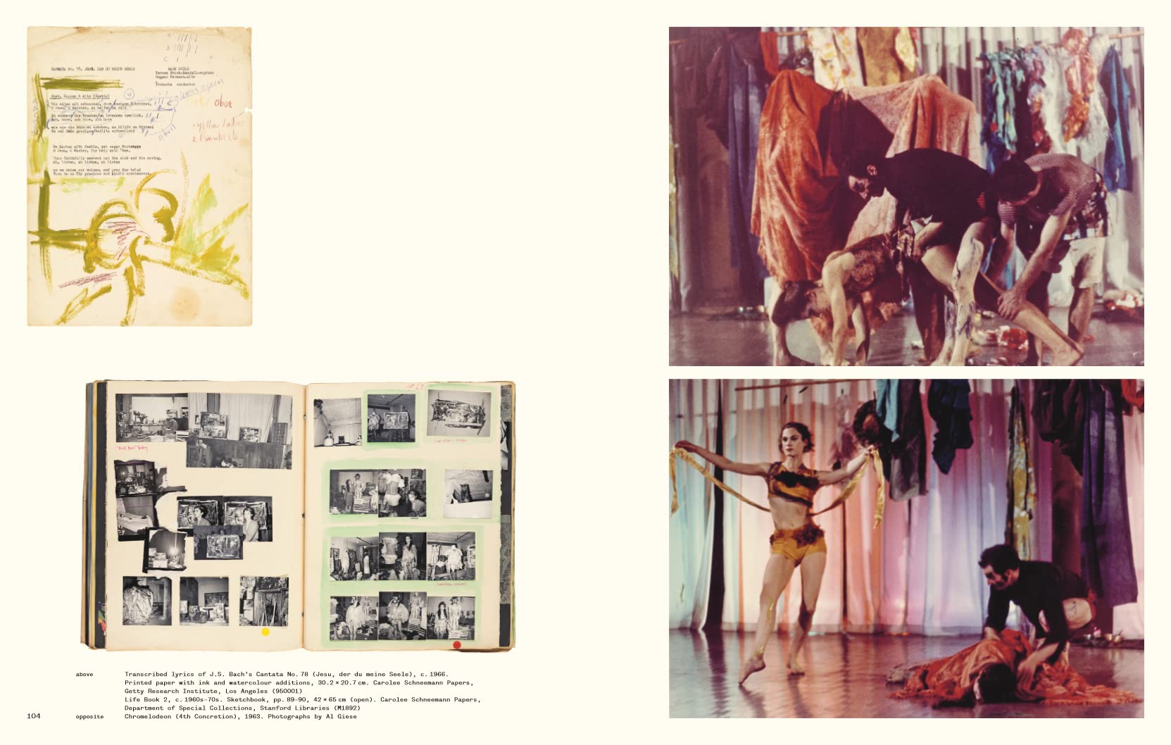 Carolee Schneemann: Body Politics