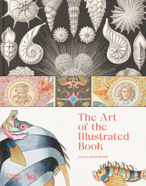 The Art of the Illustrated Book
