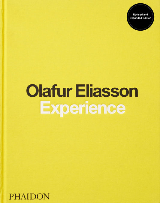 Olafur Eliasson, Experience