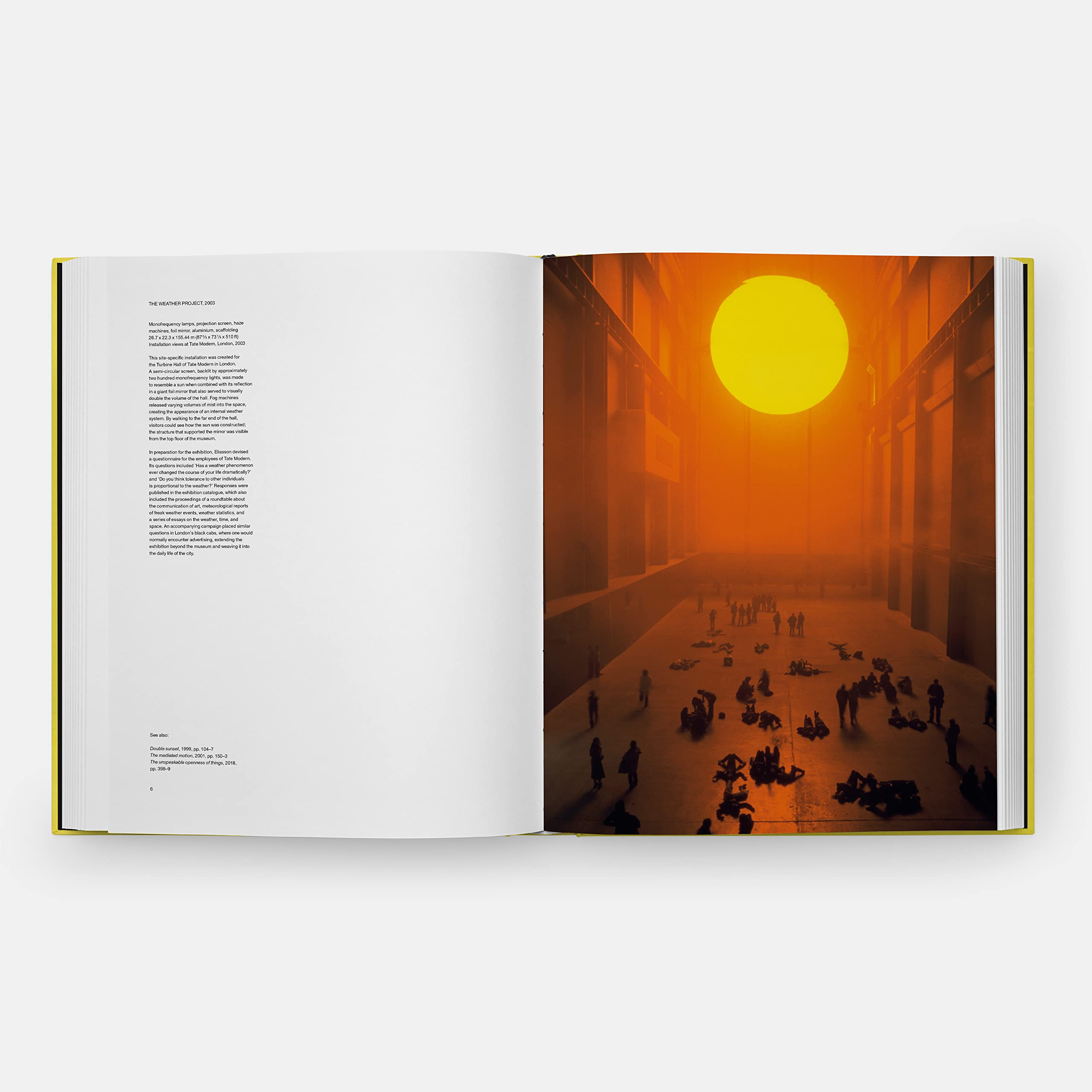 Olafur Eliasson, Experience