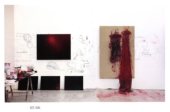 Anish Kapoor, Painting