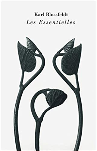 Karl Blossfeldt, Les essentielles